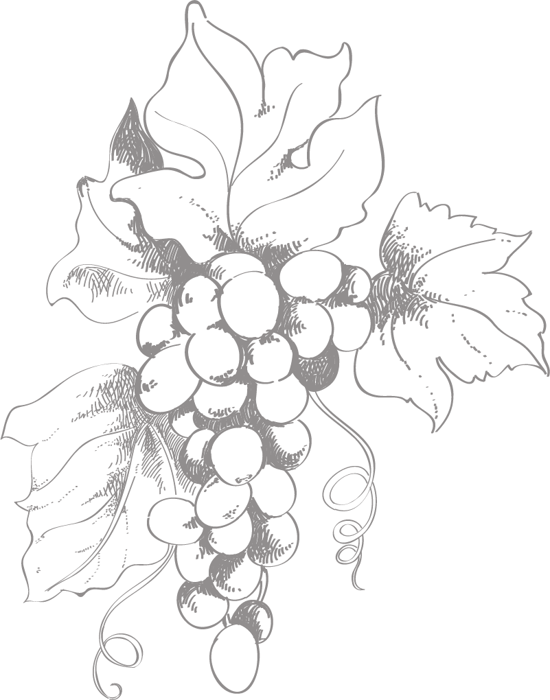 Bien Boire en Beaujolais - Grappes de raisins